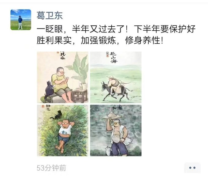 The image shows a social media post by "葛卫东" (Ge Weidong) with the text "一眨眼，半年又过去了！下半年要保护好胜利果实，加强锻炼，修身养性！" (Half a year has passed in the blink of an eye! In the second half of the year, we must protect our victory fruits, strengthen exercise, and cultivate ourselves!). Below the text are four illustrations depicting a man engaging in leisurely activities like resting, riding a horse, relaxing in nature, and farming—visually reinforcing the message of preserving gains and maintaining health. The accompanying commentary interprets this as Ge signaling it's time to cash out, with markets in a speculative phase, advising followers to stay healthy and wait for the next market cycle.