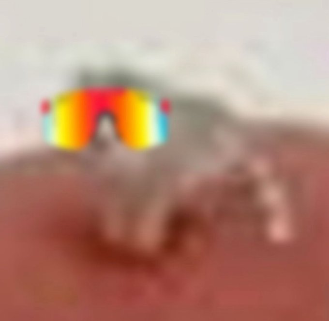 A pair of rainbow-colored sunglasses are featured in the image, seemingly positioned over the blurred image of a cat or possibly the number 75. This visually represents the "75% cat, 100% $LQC" post.