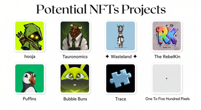 A graphic titled 'Potential NFTs Projects' displaying eight NFT collections including hooja, Tauronomics, Wasteland, The RebelKin, Puffins, Bubble Buns, Trace, and One To Five Hundred Pixels.