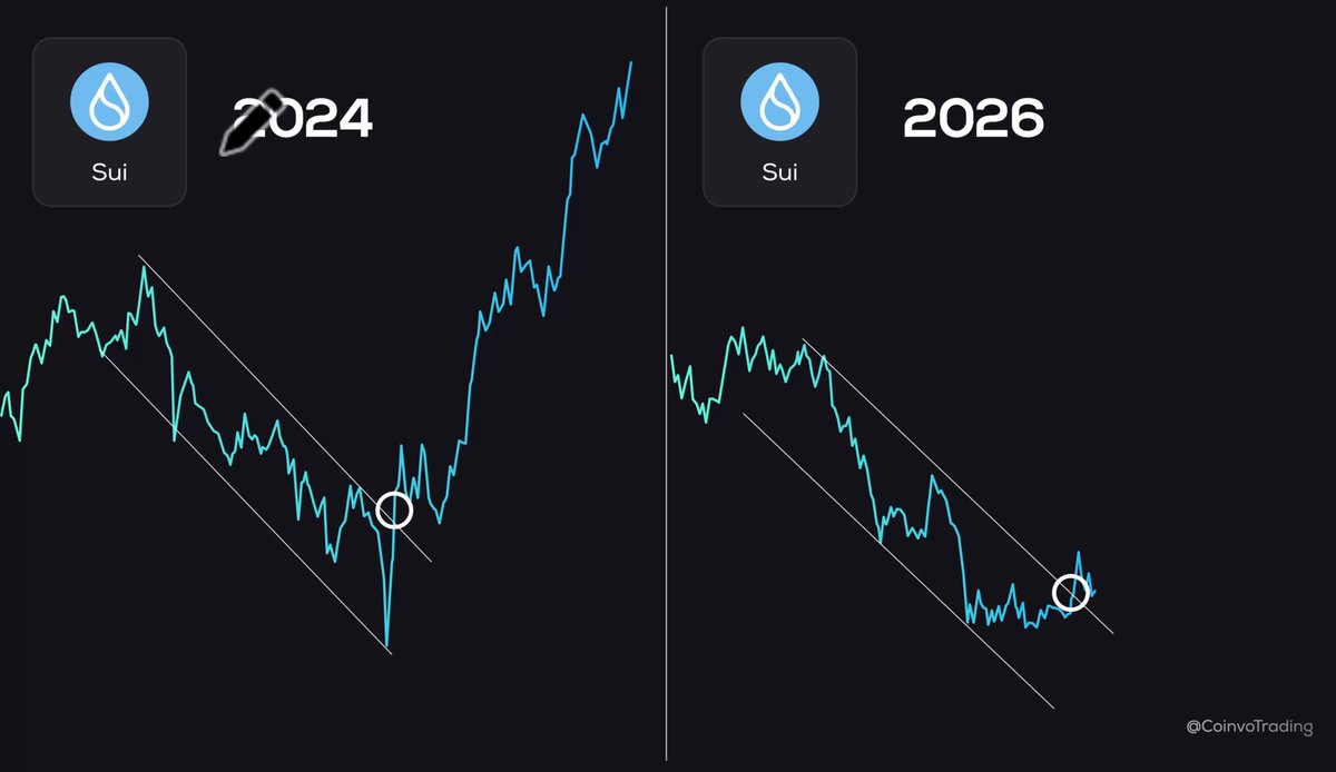 The image displays two line graphs against each other depicting the growth of the cryptocurrency Altcoin in relation to time from 2004 to 2016, with blue lines for each year. The altcoins graph shows a significant upward trend during the years 2004-2016, while the social media sentiment graph depicts the same period having no significant discussion or interest around altcoins. This contrast highlights the popularity and development of Altcoins during these years compared to the general lack of attention from the social media audience at that time.