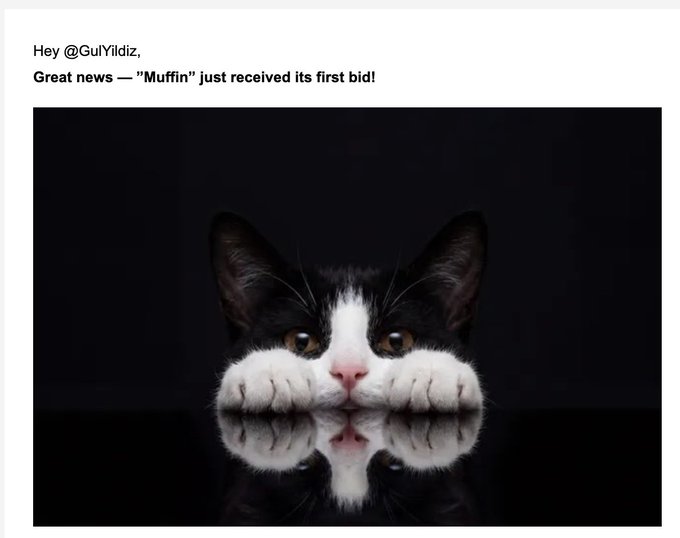 A message notification from a user addressing @GuYildiz announces that 'Muffin' just received its first bid, accompanied by a black and white photo of a cat resting its paws on a reflective surface.