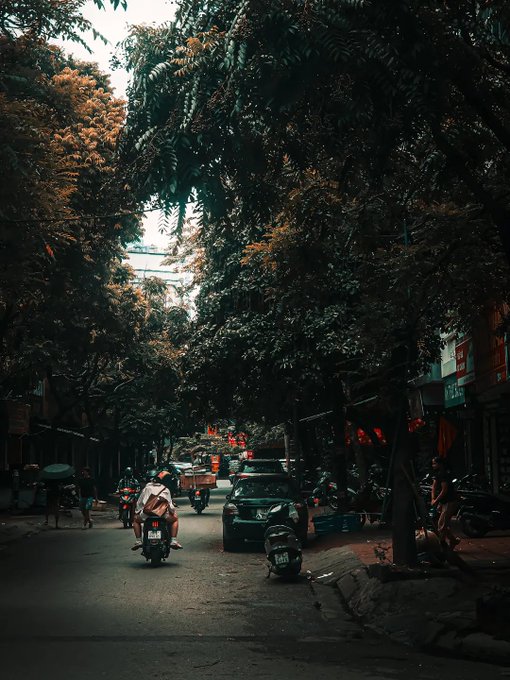 A moody, atmospheric photograph of a tree-lined street with a motorcyclist and parked cars, evoking a tropical Southeast Asian city setting.