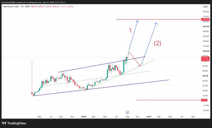 A TradingView weekly chart for Hyperliquid / USDT (MEXC) displays price action with technical analysis annotations including a rising channel, arrows pointing to potential targets at $164.50, and a stop loss marked near $0.22.