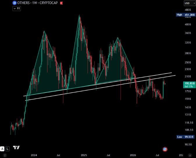 A weekly OTHERS (ex-top 10) crypto market cap chart from CryptoCap shows price action forming a rising parallel channel with a clear ascending trendline resistance around the $192.83B level, which the market is currently testing again at +0.17%. The image supports the post by visually confirming the "key resistance level" mentioned, showing multiple historical rejections along the trendline and suggesting an altcoin breakout could be imminent.
