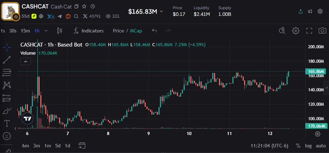 A cryptocurrency chart shows CASHCAT trading at $165.86M with a 7.29% gain to $0.17, displaying an upward price trend across the 6-12 timeframe as it approaches new all-time highs following a consolidation period.
