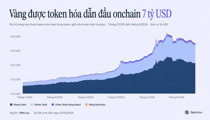 A Vietnamese-language chart from Injective showing the onchain value of tokenized gold reaching $7 billion (approximately 7 tỷ USD) from January 2025 through May 2026, with PAXOS Gold and Tether Gold leading the market alongside other gold and commodity tokens, illustrating the post's point about gold being the fastest asset brought onto the blockchain with 300% growth over 15 months.
