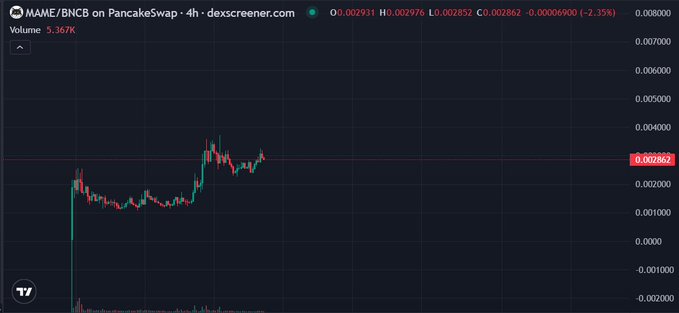 A 4-hour MAME/BNCB candlestick chart on PancakeSwap (dexscreener.com) shows the token trading at 0.002862 with a -2.35% decline, supporting the post's theme of patience and long-term belief in the $MAME project despite short-term price volatility.