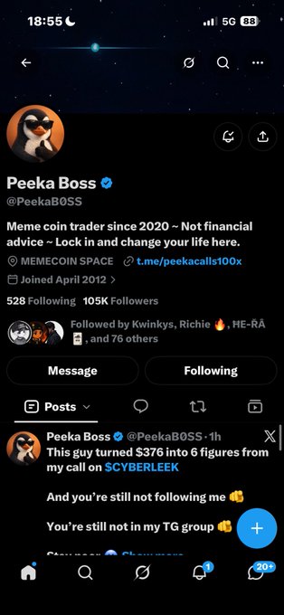 A Twitter/X profile screenshot for 'Peeka Boss' (@PeekaBOSS) advertising as a meme coin trader since 2020, with a pinned tweet about $CYBERLEEK and 105K Followers.