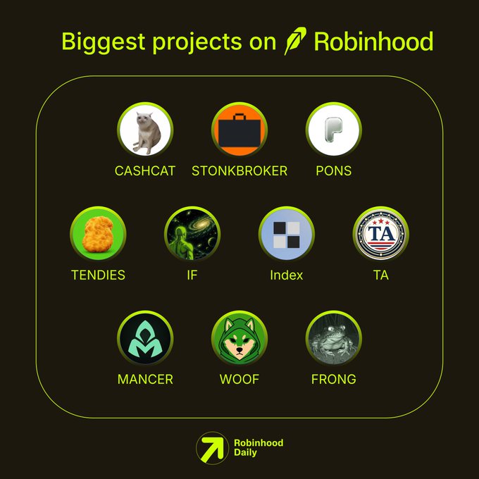 The image displays a curated grid titled "Biggest projects on Robinhood" featuring ten circular icons with their respective tickers: CASHCAT, STONKBROKER, PONS, TENDIES, IF, Index, TA, MANCER, WOOF, and FRONG, presented in the branding style of the "Robinhood Daily" newsletter.
