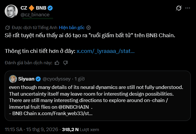 A social media post by 'CZ BNB (@cz_binance)' in Vietnamese, mentioning 'BNB Chain', with a quoted reply from 'Siyuan (@cyodyssey)' discussing neural dynamics.