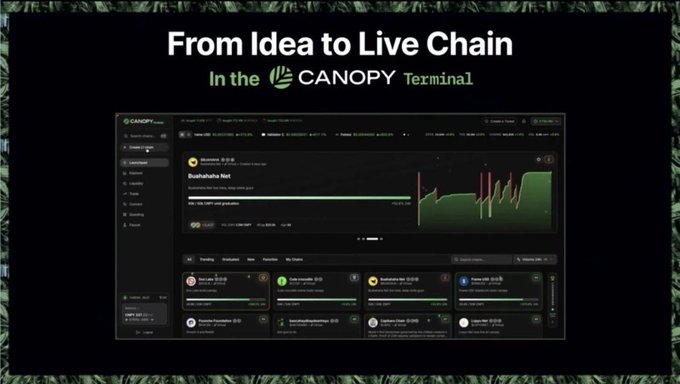 A presentation slide titled 'From Idea to Live Chain In the CANOPY Terminal' shows a dark-themed dashboard interface with token listings and a green price chart.