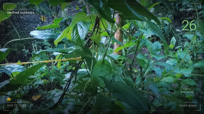 A dark, rain-soaked jungle scene with dense green foliage and broad leaves. The image has overlay text including "FOOD FOREST 02.14", "verified outdoors", "CURRENT STREAK", "DAY 26", "TOP 5% most forestlike", "DATE / 2026 AUG 22, 2026", and "certified by AI touch grass".