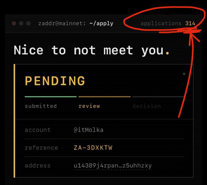 A terminal screen showing a 'Nice to not meet you' message with a 'PENDING' application status for account @itMolka, highlighting that there are 314 applications.
