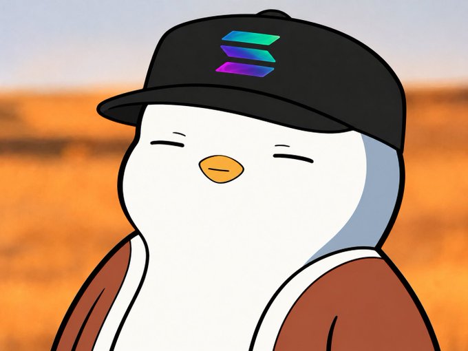 A cartoon white bird wearing a black cap with a Solana logo, standing in a desert landscape.