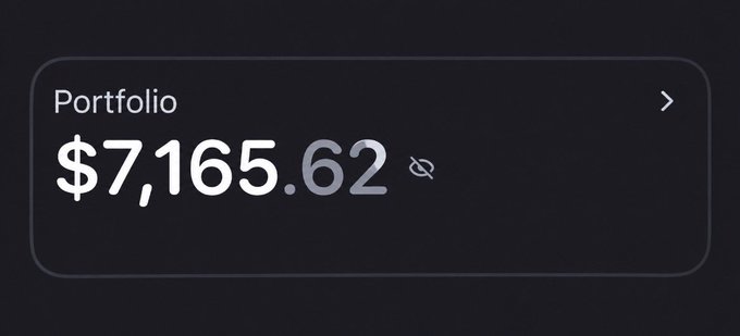 A dark-themed financial dashboard displaying a 'Portfolio' value of $7,165.62 with a hidden balance icon.