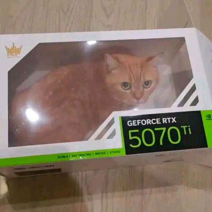An orange cat sits inside a 'GEFORCE RTX 5070 Ti' graphics card box on a wooden floor, humorously looking out through the window.