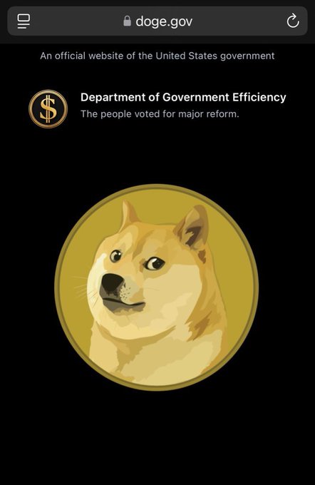 A screenshot of the doge.gov website showing the 'Department of Government Efficiency' header with the tagline 'The people voted for major reform' and a large Dogecoin logo featuring the Shiba Inu dog.