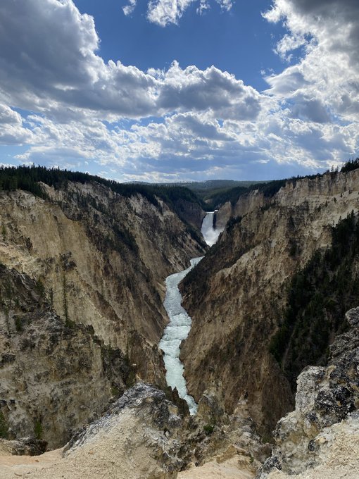 A breathtaking view of the Grand Canyon of the Yellowstone, featuring the iconic Lower Falls cascading into the winding river far below, surrounded by towering canyon walls under a dramatic, cloud-filled sky — a perfect "gm" (good morning) greeting paired with the awe-inspiring beauty of nature.