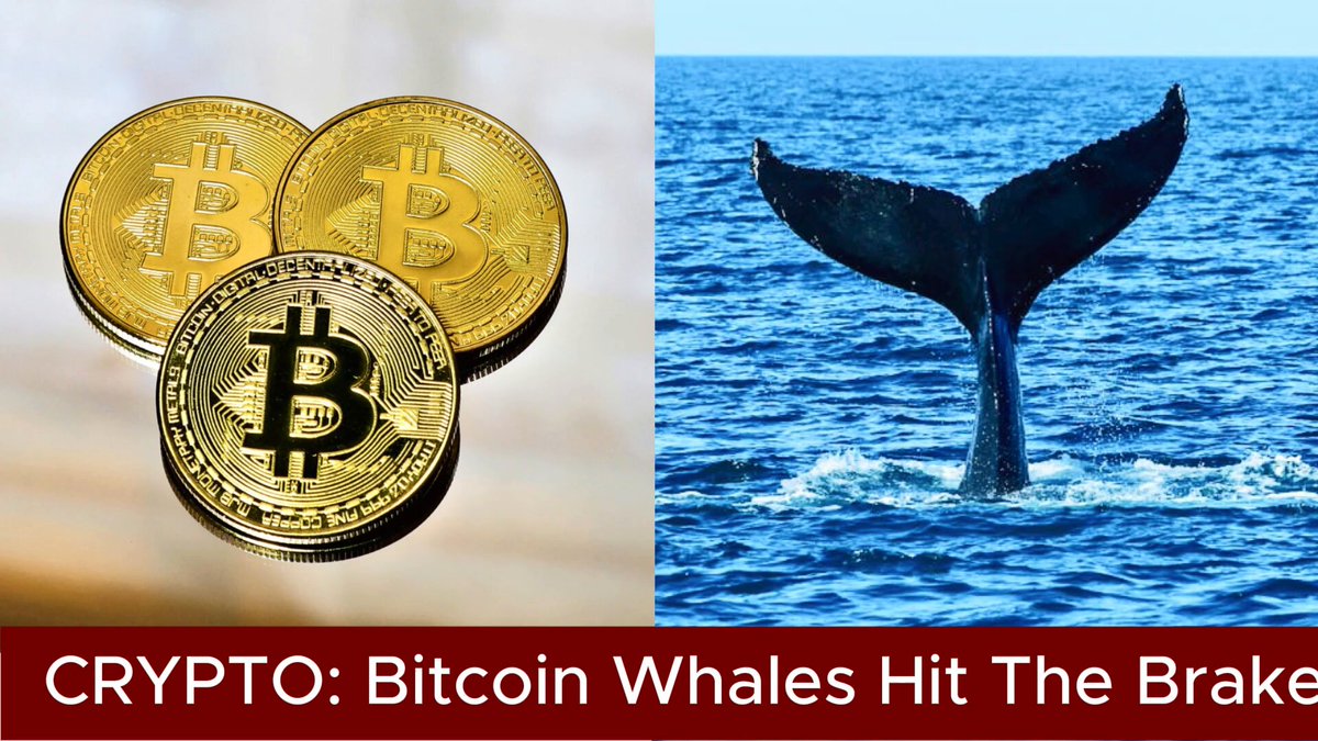 The image features a collage with two main elements - a coin and a picture of a whale. The coin has a value of $BTC, while the whale is depicted as a blue and black animal swimming in the ocean. The text on the image reads "Crypto: Bitcoin Whales Hit The Brakes Bitcoin" which suggests that there might be a connection between the coin's value and the current state of the cryptocurrency market. The phrase "focus on what is in the image and how it relates to the post" implies that the image could be used as an advertisement or educational material related to Bitcoin and its impact on the financial world.