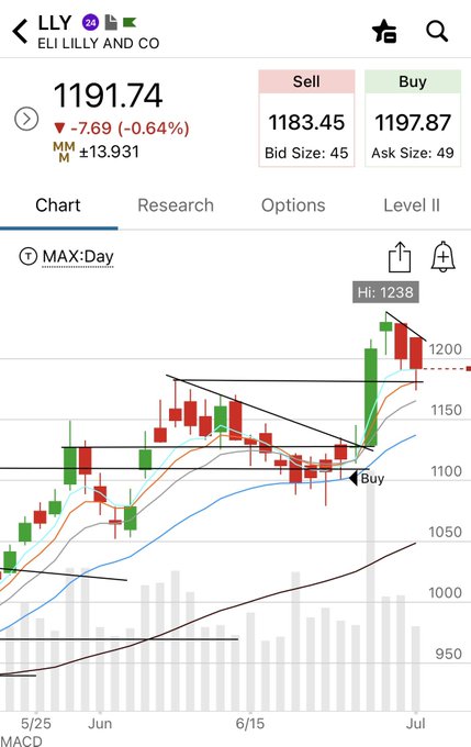A candlestick chart of Eli Lilly (LLY) on a MAX:Day timeframe shows the stock trading at $1191.74, down 7.69 (-0.64%), with a recent "Buy" signal marked near $1100 support after breaking out from a flag/triangle consolidation pattern toward a high of $1238, illustrating the bullish structure and pivot support referenced in the post.