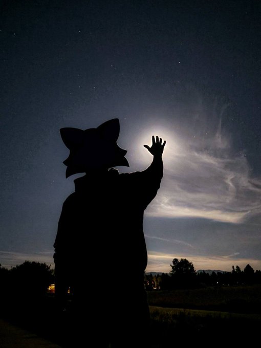A silhouette of a person wearing a hat with cat-like ears, reaching their hand up toward a bright moon in a starry night sky.