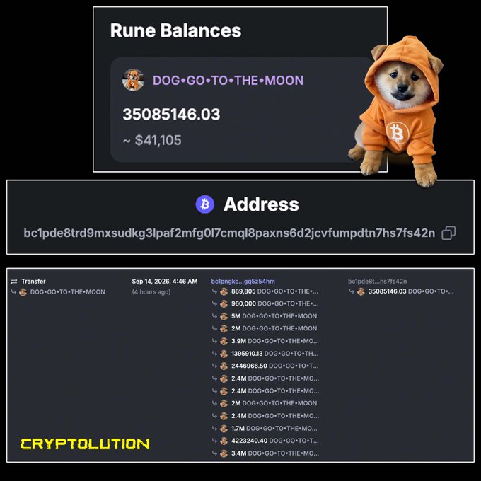 A cryptocurrency wallet screenshot showing a Rune balance of 3,508,5146.03 DOG•GO•TO•THE•MOON (~ $41,105) with transfer history, branded "CRYPTOLUTION."
