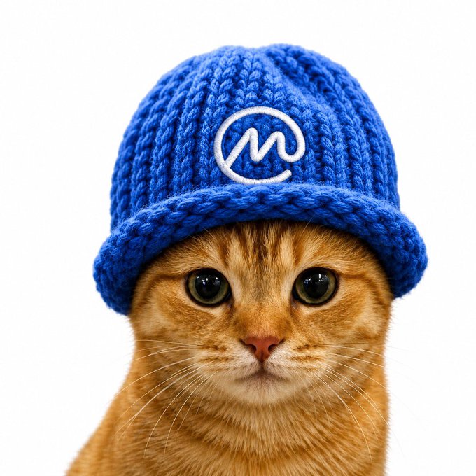 The image features a cute orange kitten wearing a blue knit hat with a white "M" logo, sitting against a plain white background. The caption of the image reads "yes catwifhat is the cat runner we wanted see you at millions". This suggests that the adorable kitten might be participating in an event or promotion related to cats and knitting.