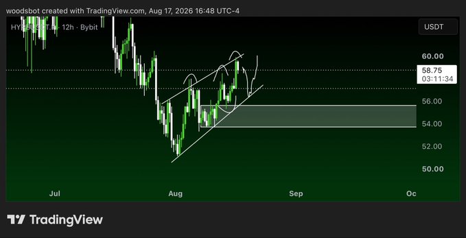 A TradingView 12-hour chart for HYPE/USDT on Bybit (created Aug 17, 2026) shows price consolidating in a descending channel/bear flag near the 54–56 USDT support zone, with a horizontal level at 58.75, directly illustrating the post's setup where the Monday low was swept and the stock is now at a decision point to either break out of the bear flag for continuation or break down for full demise.