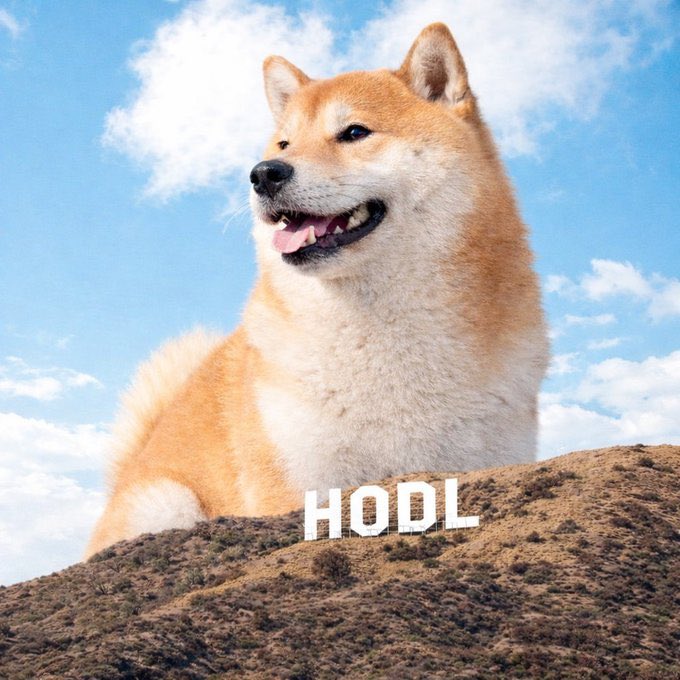 A smiling Shiba Inu sits atop a hill against a cloudy blue sky, with the bold white text "HODL" displayed prominently below. The iconic "gm" (good morning) meme format pairs perfectly with the crypto slang term "HODL," a playful nod to holding onto investments regardless of market volatility.