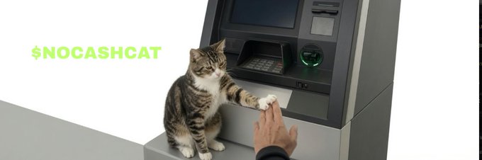 A tabby cat gives its paw to a hand reaching from an ATM machine, humorously acting as the "cash cat" dispensing crypto, with the green "$NOCASHCAT" ticker displayed on the left—visually representing the playful "no cash" theme of the recently scanned meme token.