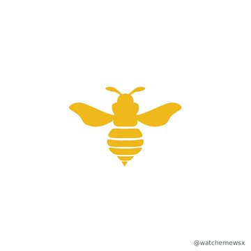 A minimalist gold bee logo on a white background with the watermark '@watchmewsx' in the corner.