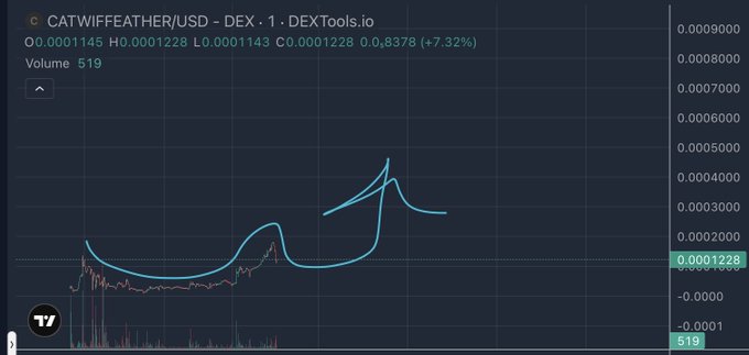 A DexTools.io candlestick chart shows the CATWIFFEATHER/USD trading pair with a 1-day timeframe, displaying a volatile price spike up to ~0.00012 with the current value at 0.0001228 (+7.32%) on volume of 519 — capturing the memecoin's modest pump referenced in the post's reference to contract address 0x9411673acad2ff68810713cbc04e029c8d636fe6.