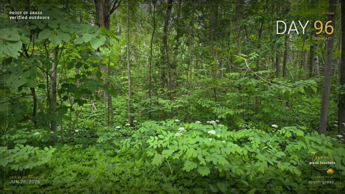 A lush green forest with dense foliage and white wildflowers fills the frame, overlaid with text reading "PROOF OF GRASS verified outdoors," "DAY 96," and "$TOUCHGRASS" with "touch grass" branding in the corner. The image visually reinforces the post's "proof of grass" outdoor engagement theme by showcasing genuine forest greenery.