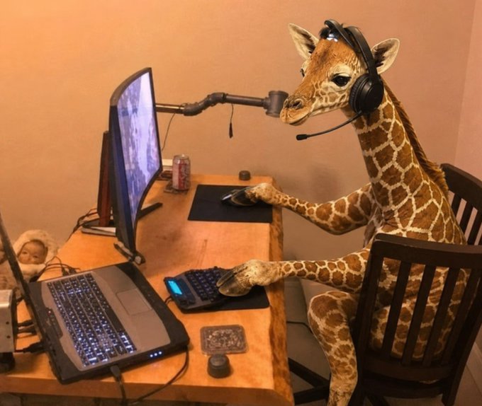 A humorous photoshopped image of a giraffe wearing headphones sitting at a desk operating a computer and laptop with a microphone, appearing to be gaming or streaming.