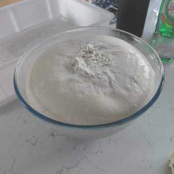 A glass bowl holds dough that has been left to proof overnight, now visibly puffed and bubbly on top. The image aligns perfectly with the caption's tired tone—a tired baker admiring their well-rested, risen dough after a long rest in the fridge.