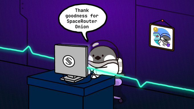 A cartoon character sits at a computer thanking "goodness for SpaceRouter Onion," playing on the post's joke that private browsing habits remain concealed, much like secrets protected by an onion router.