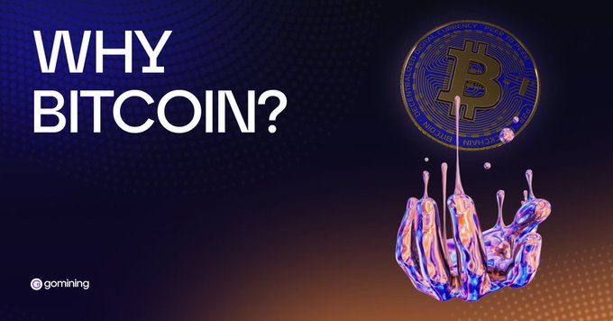 A bold "WHY BITCOIN?" headline sits beside a golden Bitcoin coin dripping with iridescent liquid, paired with the GoMining logo—visually reinforcing the post's question about whether GoMining is becoming an all-in-one Bitcoin platform that's more accessible than traditional investment funds.