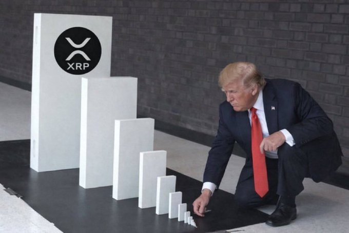 A photoshopped image showing Donald Trump kneeling in a suit and red tie, carefully placing a domino next to a row of white blocks, with the largest block displaying the XRP cryptocurrency logo.