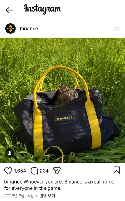 The image shows Binance's official Instagram post featuring a small kitten peeking out of a navy blue and yellow tote bag with the Binance logo, sitting on grass, with the caption "Whoever you are, Binance is a real home for everyone in the game." This connects to the post about the "Binance cat" meme, which has gained significant traction across social media, and references the meme token $MOIRA (0xb4d84ae3e696ba83857e54f438fa5e747be07777) that has been associated with the viral Binance cat phenomenon.
