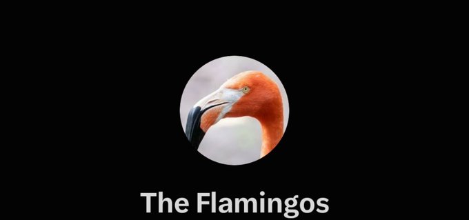 A flamingo profile photo inside a circular frame, displayed above the text "The Flamingos," likely representing a community logo for an active NFT group discussing whitelist spots and member engagement.