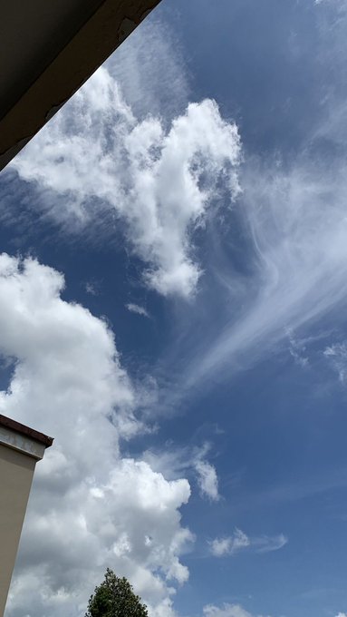 A view of a bright blue sky filled with scattered white clouds, framed by the corner of a building and tree tops in the lower left.