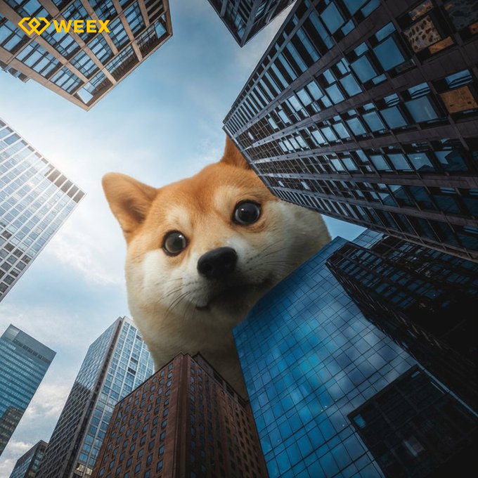 A giant Shiba Inu dog looms over a cityscape of skyscrapers, with the "WEEX" logo visible in the top-left corner, playfully illustrating the massive presence and influence of the $SHIB cryptocurrency.
