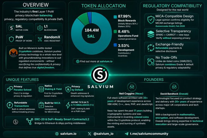 The image appears to be a poster or infographic presenting information about a cryptocurrency called Salum. The title of the image reads, "Let me show you the BIGGEST mispricing I see in crypto right now." This suggests that the viewer is looking at the price fluctuations and market trends associated with the Salum currency. There are also other smaller details and text on the poster or infographic.