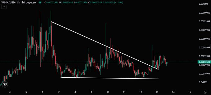 A candlestick chart for WINK/USD on a 1-hour timeframe showing price movement with descending trendlines, sourced from birdeye.so.