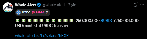 A screenshot of a Twitter/X post from Whale Alert (@whale_alert) reporting that 250,000,000 USDC (250,000,000 USDC) was minted at the USDC Treasury.
