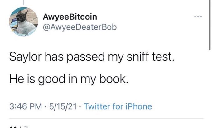 A tweet by @AwyeeDeaterBob (display name 'AwyeeeBitcoin') dated 5/15/21 stating 'Saylor has passed my sniff test. He is good in my book.'