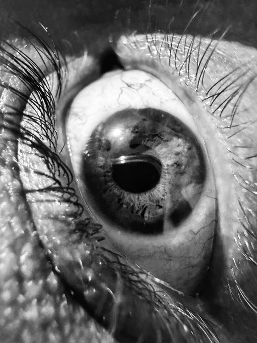 ?"Eyes Wide" only, with a caption that reads "Eyes Wide" and "3 $XTZ".