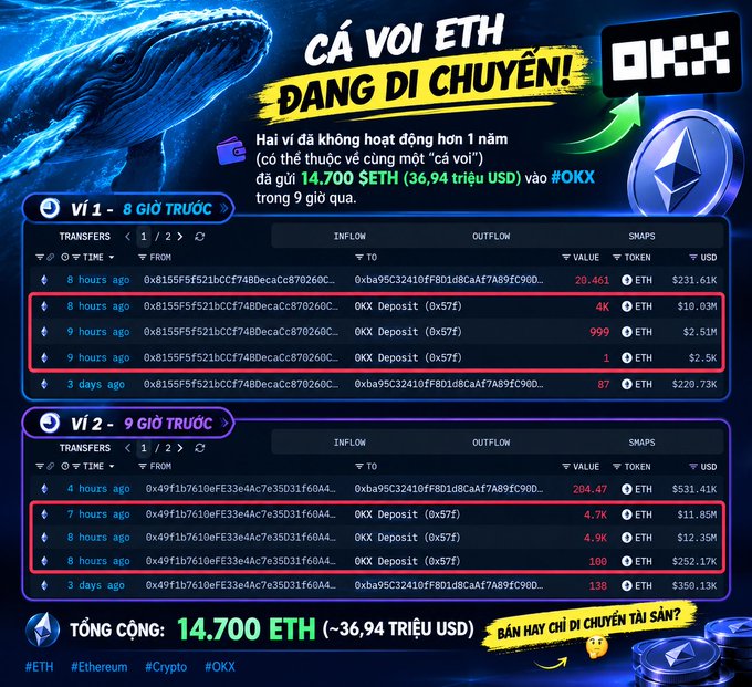 A Vietnamese infographic titled 'CÁ VOI ETH ĐANG DI CHUYỂN!' (ETH Whales are Moving!) detailing large Ethereum transactions to OKX, totaling 14,700 ETH (~$36.94M USD).