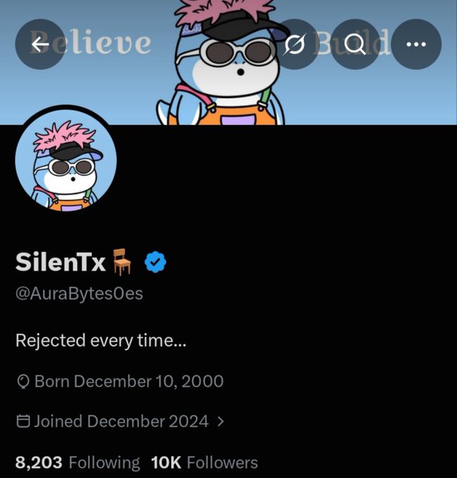 A social media profile for 'SilenTx' (@AuraBytesOes) featuring a cartoon character avatar with pink hair and sunglasses, bio text 'Rejected every time...', birth date December 10, 2000, joined December 2024, with 8,203 Following and 10K Followers.