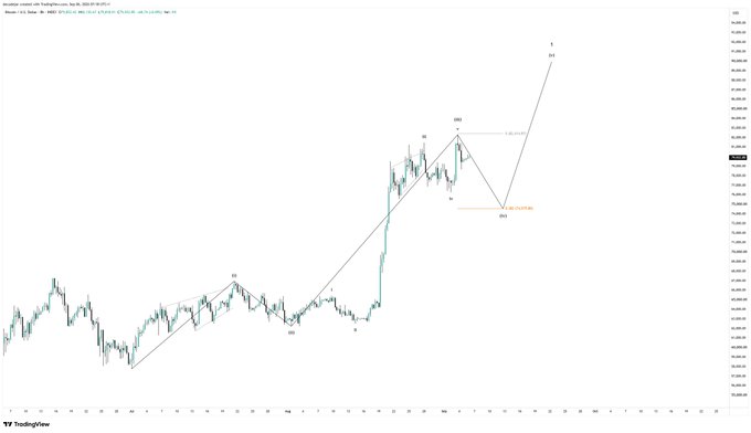 A Bitcoin candlestick chart from TradingView displays Elliott Wave analysis with labels marking wave structures, including a completed wave 4 correction near the 0.382 retracement level and an emerging wave 5 pushing toward the 75,000 price region.